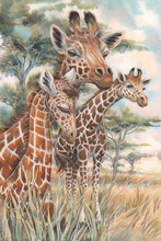 Pintura de diamantes redondos/cuadrados 5D, cuadro artesanal completo de "jirafa Animal salvaje", bordado 3D, mosaico de punto de cruz, regalo para decoración del hogar 2024 - compra barato