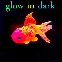 1 шт., светится в темноте, искусственная аквариумная Золотая рыбка, украшение для аквариума, силиконовая рыбка 2024 - купить недорого