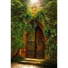 Old Arch Door Backdrop for Photography Sunshine Green Trees Vines Red Flowers Baby Kids Children Photo Studio Backgrounds 2024 - buy cheap