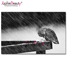 Sophie Beauty Diy pintura de diamante bordado completo de diamantes mosaico pájaro en lluvia Animal patrón de punto de cruz decoración del hogar 19010 2024 - compra barato