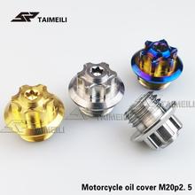 Parafuso de cobertura de óleo de liga de titânio tc4 motocicleta m20 p2.5 rígido luta/bws fossil ad gyg dispositivo 2024 - compre barato