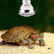 Adeeing Pet Reptile Heat Preservation Light Blub Heat Lamp Pet Supplies 2024 - buy cheap