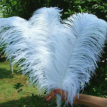 High quality wholesale 50 pcs 18-20inches /45-50cm White ostrich feathers DIY jewelry decoration / wedding celebration 2024 - buy cheap