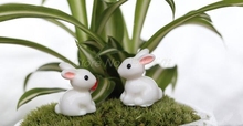 2000PCS Hot Mini Rabbit/Hedgehog /Tortoise  Ornament Miniature Figurine Plant Pot Fairy Garden Decor Home Decoration 2024 - buy cheap