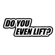 29*10CM DO YOU EVEN LIFT Funny Car Sticker Decal Letter Car Styling Motorcycle Accessories Black/Silver C1-0130 2024 - buy cheap