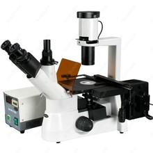 Microscopio invertido fluorescente para cultivo, AmScope Supplies 40x-600x, microscopio invertido fluorescente para cultivo de contraste de fase planificada 2024 - compra barato