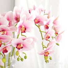 3D настоящие на ощупь 7 головок Искусственные бабочки орхидеи Оптовая Продажа Искусственные фетровые цветы свадебные декоративные фаленопсис 10 шт. 2024 - купить недорого
