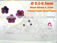 Сушеные прессованные цветы для дизайна ногтей, лиловый спираевидный венок 2020x, настоящие натуральные сушеные цветы для прессования, бесплатная доставка 2024 - купить недорого
