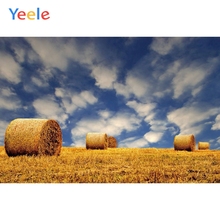 Yeele виниловый Осенний урожай пшеничных полей сена стек неба фон для фотосъемки по индивидуальному заказу фон для фотостудии 2024 - купить недорого