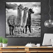 Moda preto e branco llama poster animais pintura em tela alpaca cartazes e cópias da arte da parede imagem para sala de estar decoração 2024 - compre barato