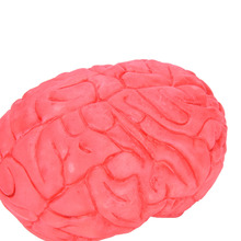 Halloween Decoration And Prop Rubber Horror Fake Scary Human Brain Haunted House Organ Body Part  Practical Jokes Gag Toys 2024 - buy cheap