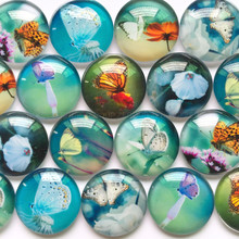 ZEROUP 12mm 20mm Handmade Photo Glass Cabochons Mixed Butterfly Pattern Domed Round Jewelry Accessories Supplies for Jewelry 2024 - buy cheap