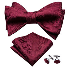 Men's Butterfly Tie Wine Self Bow Ties For Men Silk  Red Paisley Hanky Cufflinks Suit Collar Removable Necktie Barry.WangLH-1014 2024 - buy cheap