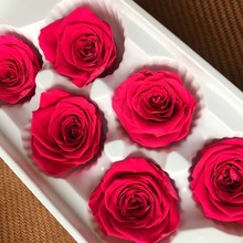 5 см природа свежий консервированный Роза голова в Fuschia, Красавица и Чудовище навсегда розы, вечная роза, сделай сам бессмертный цветок материал, 2024 - купить недорого