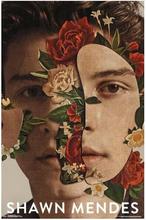SHAWN MENDES - FLORAL COLLAGE  SILK POSTER Decorative painting  24x36inch 2024 - buy cheap
