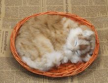 cute simulation sleeping cat lifelike handicraft cat doll in a basket gift about 25x21cm 2024 - buy cheap