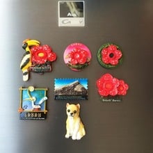 BABELEMI Malaysia Sabah Borneo Fridge Magnets Flower Dog Toucan Mount Kinabalu Tourist Souvenir Refrigerator home decoration 2024 - buy cheap