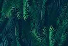 7x5 футов тропические темно-зеленые листья Пальма пользовательский фото студия фон винил 220 см x 150 см 2024 - купить недорого