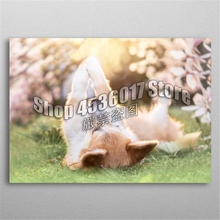 5d Diy Diamond Painting Cross Stitch Diamond Embroidery Sweet Corgi dog Diamond Mosaic Full Gifts Home Decor Needlework Posters 2024 - buy cheap