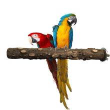 Loro pájaro Natural registros pimienta de madera en pie con perchas de madera para mascotas morder garra de portátil para mascotas loro pájaro de juguete 2024 - compra barato