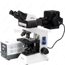 AmScope Supplies 40x-2000x Widefield EPI-Fluorescent Binocular Compound Microscope 2024 - buy cheap