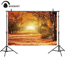 Allenjoy backgrounds for photography studio beautiful romantic sunlight autumn trees backdrop natural professional photocall 2024 - buy cheap