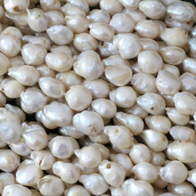 Fahsion-Cuentas de Perlas de agua dulce cultivadas en blanco natural para mujer, forma libre de gota de agua irregular, 12-16mm, fabricación de joyas, 15 pulgadas, B1357 2024 - compra barato