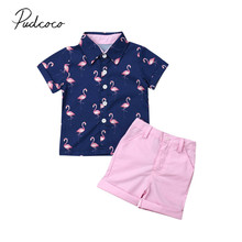 2019 г. Детская летняя одежда комплект из 2 предметов для маленьких мальчиков, футболка с Фламинго + шорты, штаны одежда с короткими рукавами От... 2024 - купить недорого