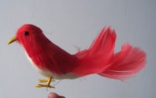 Pequeño modelo de aves de imitación de plástico y Pieles Rojas modelo de pájaro regalo alrededor de 15cm 0737 2024 - compra barato