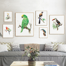 Cartazes e impressões modernas para decoração de casa, arte de parede para sala de estar, sem moldura, aquarela, animais, papagaio 2024 - compre barato