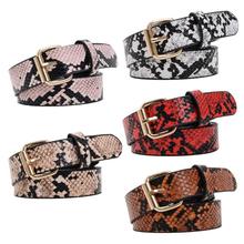 Snake Skin Print Belts For Women Gold Square Pin Buckle Waistband PU Leather Belt Pants Dress Waist Belts for Women Dropshipping 2024 - buy cheap