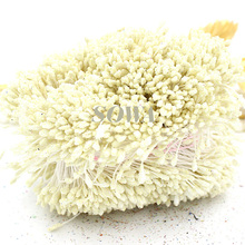 Free Shipping hot sale 800pcs/lot 3mm Floral Glitter Stamen Pistil ivory Artificial Flower Stamen Cake Decorating Craft DIY 2024 - buy cheap