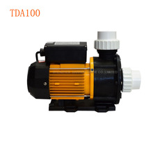 1piece TDA100 Bathtub pump 0.75KW 1HP  220v 60hz  bath circulation pump 2024 - buy cheap