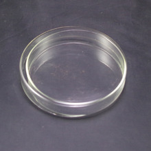 Platos de Petri con tapas, vidrio transparente, cada oferta, por 1 Uds. 2024 - compra barato