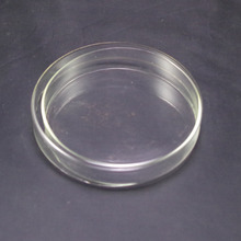 75mm Petri dishes with lids clear glass each bid for 1pcs 2024 - buy cheap