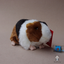 Plush Stuffed Toys  Guinea Pig  Doll Hamster  Dolls  Simulation Animals Children'S Toy Kawaii Gifts 2024 - buy cheap