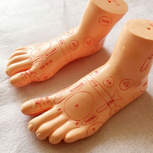 Modelo de masaje de zona de reflejo de pies de 19Cm, no modelo de acupuntura, reflexología de pies Tcm, caracteres del idioma chino, 1 par 2024 - compra barato