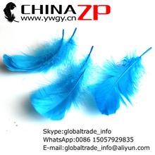 Gold Supplier CHINAZP Factory 100pcs/lot Unique Dyed Turquoise Blue Fluffy Goose Coquille Feathers 2024 - buy cheap