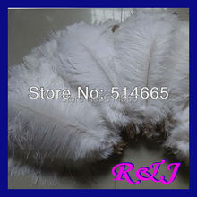 Free shipping 200PCS/LOT 12-14 inches 30-35cm white Ostrich drab feather ostrich plumes 2024 - buy cheap