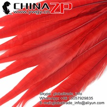 Chinazp fábrica, recém-chegado, prime qualidade peças/lote, 30-35cm, excelente, tingido, vermelho, rabo de faisão 2024 - compre barato