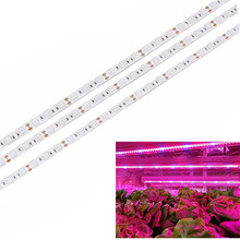 Luz LED de espectro completo para cultivo de plantas, tira de luces LED de espectro completo de 1M, 2M, 5M, 5050 LED, lámparas de crecimiento Phyto para plantas de flores de invernadero 2024 - compra barato