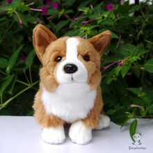 Gran oferta perro Corgi de Gales muñeca niños juguetes juguete de peluche Kawaii Corgi animales de simulación juguetes educativos para niños regalo 2024 - compra barato
