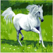 Cuadros decoración Caballo Blanco 50*40cm pintura por números lienzo pintado a mano pinturas al óleo vintage hogar Decoración de pared arte E303 2024 - compra barato