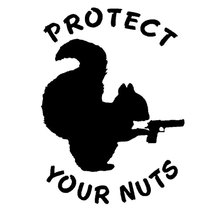 11.5CM*15.9CM Protect Your Nuts Squirrel Gun Pistol Funny Car Stickers Decals Creative personalized Sticker Black Sliver C8-0542 2024 - buy cheap