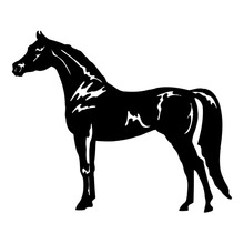 17.8*14.7CM Fine Horse Decorative Car Sticker Waterproof Outdoor Racing Car Styling Decal Black/Silver S1-2086 2024 - buy cheap