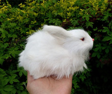 Simulador bonito blanco conejo tendido 17x8x11cm juguete modelo polietileno y Pieles de conejo modelo decoración del hogar Accesorios, modelo regalo d226 2024 - compra barato