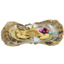 Mini monstruo de amor de moda, regalo de perla, 5 perlas redondas en strasa, Akoya, perlas genuinas de colores vibrantes, concha de Oyster, FP423 2024 - compra barato