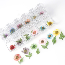 1 caja de flores secas para decoración Natural de uñas, calcomanías florales 3D, calcomanías artísticas para uñas, joyería, esmalte de Gel UV para manicura 2024 - compra barato