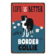 [ Kelly66 ]  Border Collie Metal Sign Tin Poster Home Decor Bar Wall Art Painting 20*30 CM Size y-2146 2024 - buy cheap