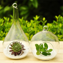 New Fashion Hot Sale Clear Glass Round with 1 Hole Flower Plant Hanging Vase Hydroponic Container Office Wedding Decor 2024 - buy cheap